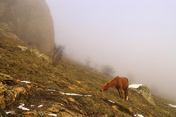 &nbsp; / Крым, Южный Демерджи