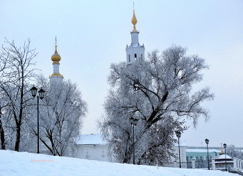 Мороз покрыл инеем природу / Мороз покрыл инеем природу