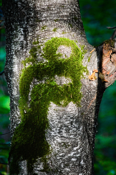 хранители / лишайники рисуют жизнью