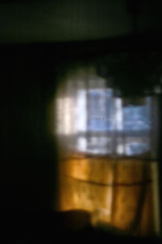 Жизнь вокруг / ***