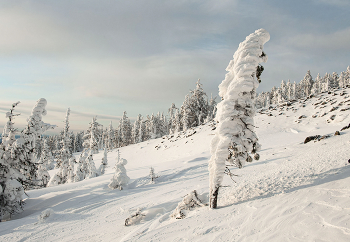 В снежном наряде / Гора Аргыджек
