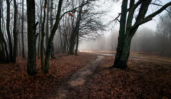 Осенний январь / Снято в январе