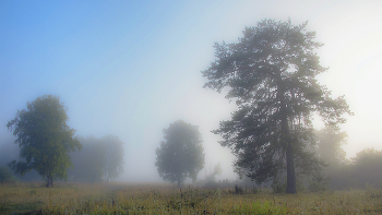 &nbsp; / 27 июля