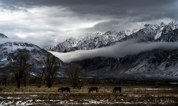 Зима в предгорьях Сьерра Невады / 29 декабря в Москве на открытой площадке на Тверском бульваре открывается выставка "Зимние истории". Там будет выставляться эта моя фотография из Америки, а также еще несколько десятков очень интересных работ фотографов со всей России. Приглашаю всех коллег, буду очень рад, если сможете посетить эту выставку.