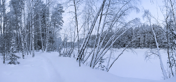 Зима чиста, морозна, и приятна... / К сожалению, здесь нельзя заменить фото, особенно тогда, когда после загрузки замечаешь, что что-то не так.
Поэтому загружаю исправленную панораму ещё раз.
Заново рекомендовать не надо, просто посмотрите).