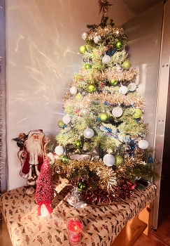 Merry Christmas to everyone! / ***