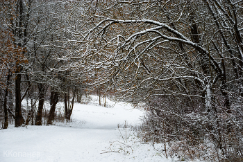 Прогулка / Где - то
