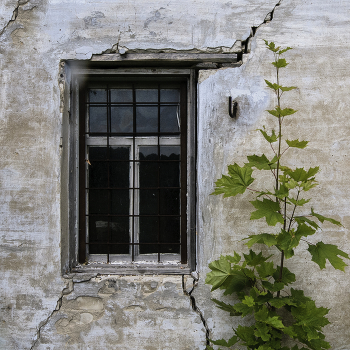 Жизнь и ..... / ***