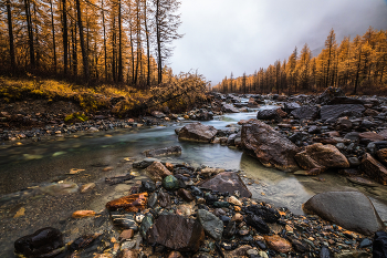 &nbsp; / Алтай. Долина реки Актуру