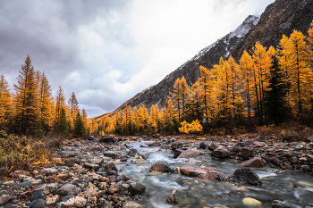 &nbsp; / Алтай. Долина реки Актуру