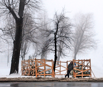 продавец ёлок / ***