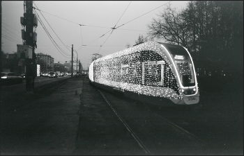 В сумерках / ***