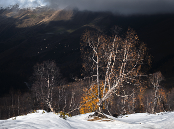 Про березки / Архыз, перевал Пхия, Карачаево-Черкесская республика