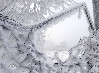 В снежной рамочке / ***