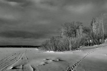 Зимним днём. / Томская область.