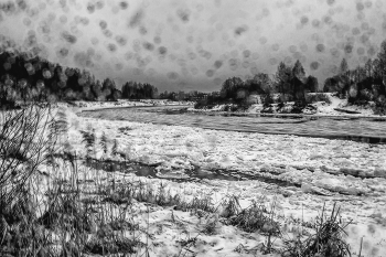 Жизнь вокруг / ***