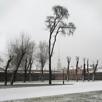 Шпиль / Санкт-Петербург