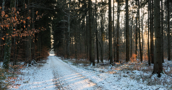 День, клонящийся к закату / ***