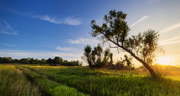 Под небом голубым / Ранним утром