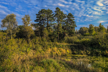 Сентябрь / 12 сентября