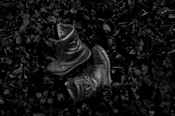 Похождения моих ботинок 3 / ...