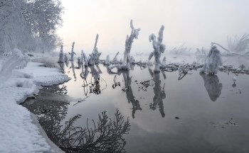Морозный Енисей / Мороз и испарение создали таких речных жителей!!