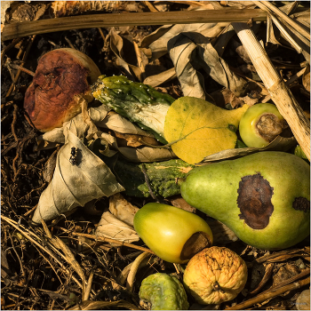 Натюрморт увядания... / ...