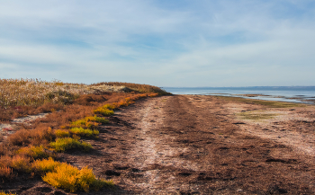 Краски Осени / ***