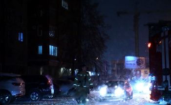 Ночная картинка с котиком. / ***