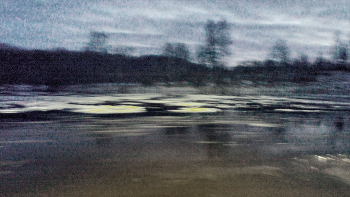 Жизнь вокруг / ***