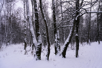 сЕГОДНЯ / ***