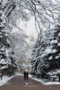 Тихий парк в снежный день, подобен тайному саду, наполняющему душу... / Парк 28 Панфиловцев-гвардейцев
г. Алматы