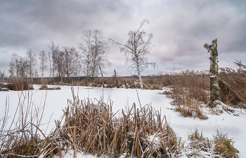 &nbsp; / Там, где летом не пройти, где горланят птицы, зимой можно по льду. Замерзшее болото в хмурый серый день.