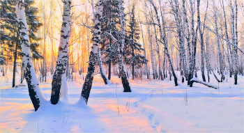 Зимы очарование / С наступающим Новым годом!
Пусть у вас всё будет хорошо, пусть всё сложится!