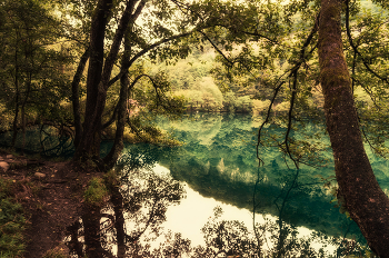 Осень на Голубом озере / Сентябрь на нижнем голубом озере в Кабардино-Балкарии. Полностью серию смотрите здесь http://35photo.pro/photo_13002639/
