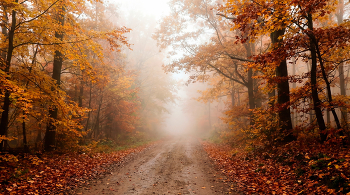 Портал в осень / Снято осенним утром