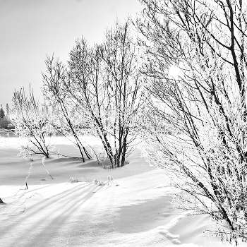 Зимний этюд / Томская область.