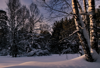 Декабрьским днём. / Томская область.