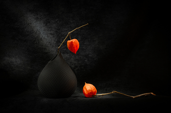 Этюд с физалисом IV / 2025