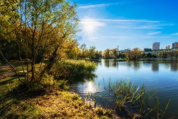 Осенний бриз. / Осенний бриз.