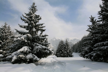 В 'Школе балета' / ***