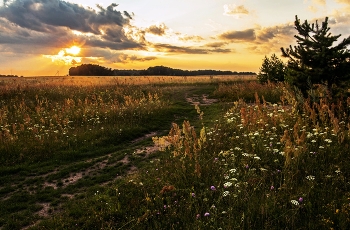 &nbsp; / п,Новочувашский,Татарстан,Зеленодольский р-он
