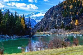 Синие дали / Времена года