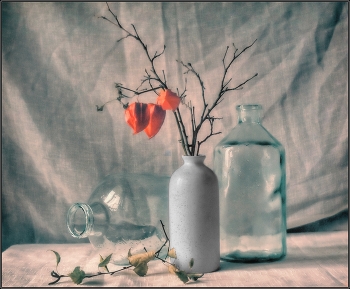 ..... Этюд с физалисом ..... / предметная композиция