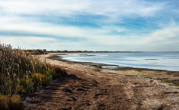 Благовещенский лиман / ***