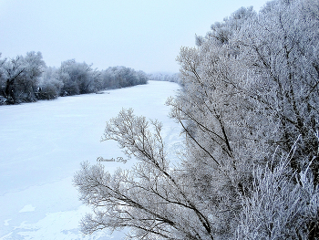 Предновогодний снег и иней на Оке / Предновогодний снег и иней на Оке