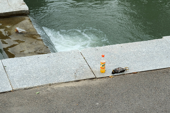 Натюрморт / ***