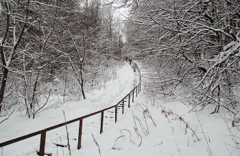 За ночь снега навалило. / ***