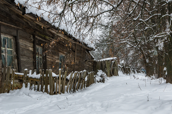 Увядание. / Тульская область, город Чекалин.