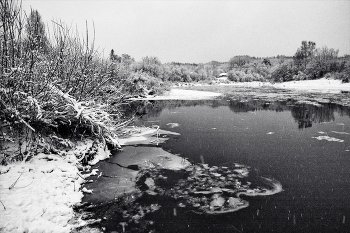 Жизнь вокруг / ***